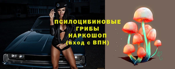 спайс Арсеньев