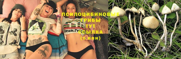 спайс Арсеньев